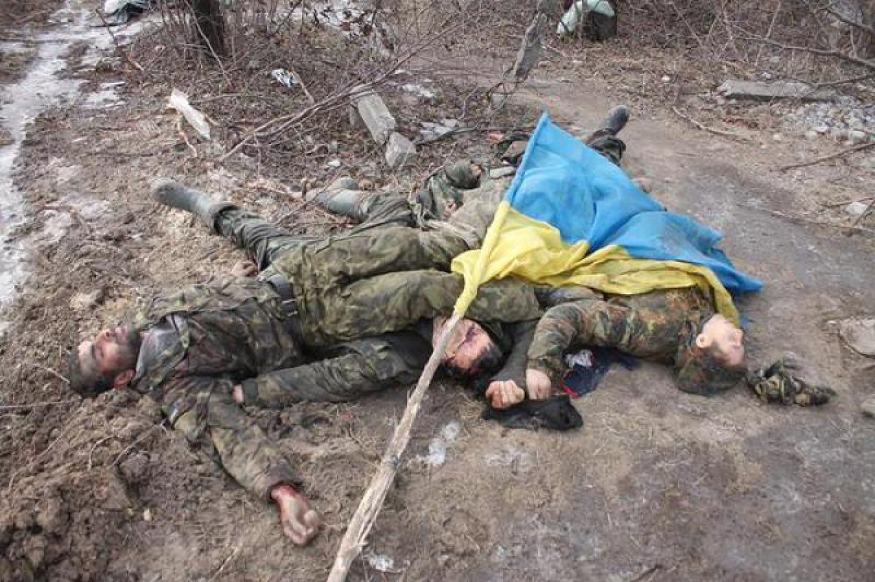 Реальные видео с войны на украине в телеграмме фото 82